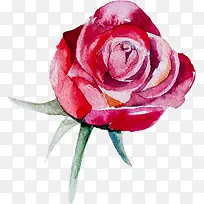 水彩花朵-空若网 水彩花朵-空若网