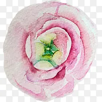 水彩花朵-空若网 水彩花朵-空若网