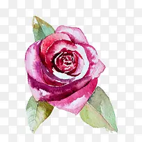 ˮ�ʻ���-������