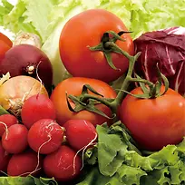 蔬菜,红,黄,绿-空若网 蔬菜,红,黄,绿-空若网