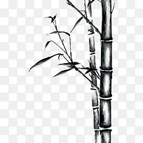 竹叶图片手绘竹子图片 卡通手绘-空若网 竹叶图片手绘竹子图片 卡通手绘-空若网