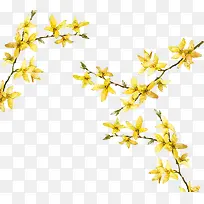 彩绘金色树枝-空若网 彩绘金色树枝-空若网