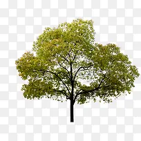 ��������̤�����-������