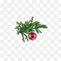 Ê¥µ®½Ú×°ÊÎÎï-¿ÕÈôÍø Ê¥µ®½Ú×°ÊÎÎï-¿ÕÈôÍø