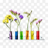 彩色的花卉r-空若网 彩色的花卉r-空若网