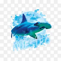 蓝色水彩背景鱼背景-空若网 蓝色水彩背景鱼背景-空若网