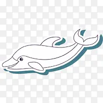 海豚-空若网 海豚-空若网