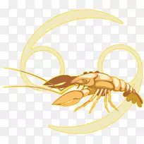 星座摩羯座螃蟹月癌症占星术-空若网 星座摩羯座螃蟹月癌症占星术-空若网