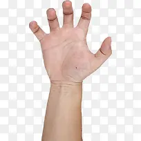 手心手指弯曲-空若网 手心手指弯曲-空若网