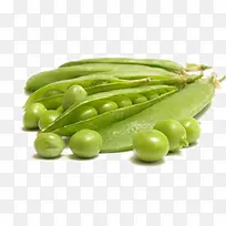 小豆子-空若网 小豆子-空若网