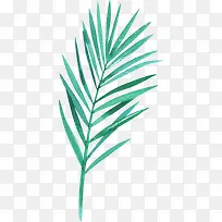 手绘绿色树叶叶子-空若网 手绘绿色树叶叶子-空若网