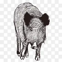 ��ͨ�ֻ涯��-������