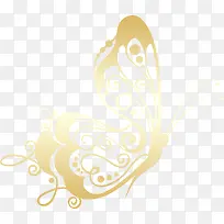 金色 蝴蝶-空若网 金色 蝴蝶-空若网