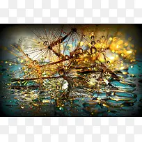 ������Ӱ�������-������