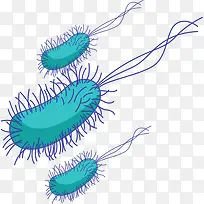 毛状体病毒细胞-空若网 毛状体病毒细胞-空若网