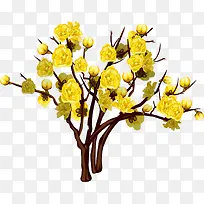 »¨Ê÷-¿ÕÈôÍø »¨Ê÷-¿ÕÈôÍø