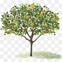 ����ʸ��ͼ����-������