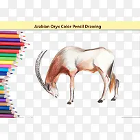 手绘羚羊卡通手绘图-空若网 手绘羚羊卡通手绘图-空若网