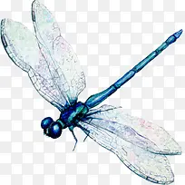 �ֻ涯��-������