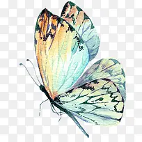 手绘动物-空若网 手绘动物-空若网