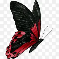 动物插画-空若网 动物插画-空若网