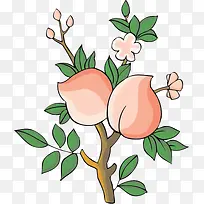 ��ͨ����С��-������