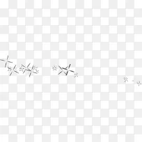 白色纯洁星星-空若网 白色纯洁星星-空若网