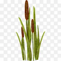 Ë®ÌÁС²Ý-¿ÕÈôÍø Ë®ÌÁС²Ý-¿ÕÈôÍø