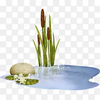 ˮ��С��-������