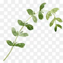 手绘树枝-空若网 手绘树枝-空若网