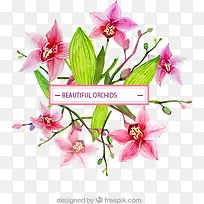 水彩画的美丽的兰花免费下载-空若网 水彩画的美丽的兰花免费下载-空若网