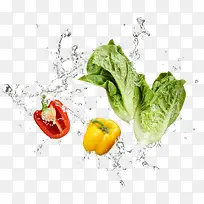 �����߲�-������