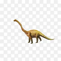 一条手绘恐龙-空若网 一条手绘恐龙-空若网