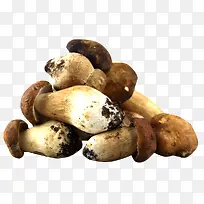 Ģ��-������