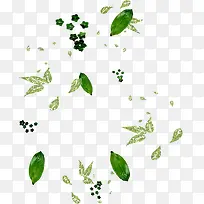 Ҷ�� ����װ�� ��ɫ����  ����-������