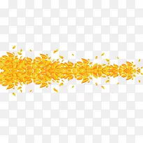 ��ɫ����Գ�-������