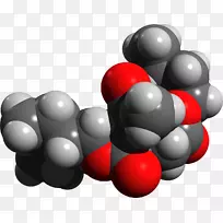 ����������������ѧ-����-������