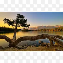 ºþ±ßÂÌÊ÷Ê÷¸ùϦÑô-¿ÕÈôÍø ºþ±ßÂÌÊ÷Ê÷¸ùϦÑô-¿ÕÈôÍø