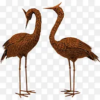 两只鸵鸟-空若网 两只鸵鸟-空若网