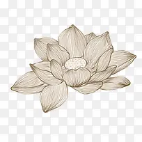 手绘莲花-空若网 手绘莲花-空若网