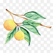 ˮ�ʹ�ʵ-������