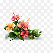 ˮ�ʴ�컨-������