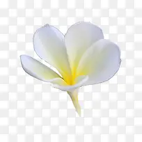 边框线条素材梦幻线条素材-空若网 边框线条素材梦幻线条素材-空若网