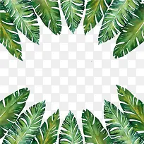 Ҷ��ˮ��Ϳѻ�ز�-������