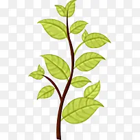 ֦Ҷ-������