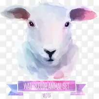 矢量彩绘家禽-空若网 矢量彩绘家禽-空若网