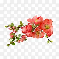 ˮ���ʻ�-������