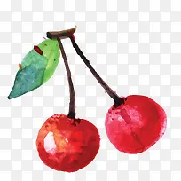 矢量荔枝-空若网 矢量荔枝-空若网