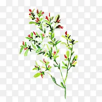 手绘树枝-空若网 手绘树枝-空若网