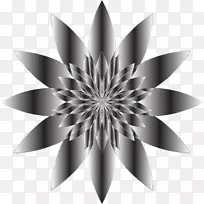 �ڰ���Ӱ�ڰ׻�����-������